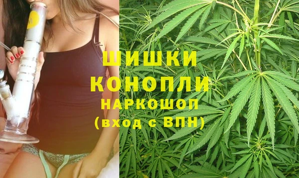 прущие крисы Богданович